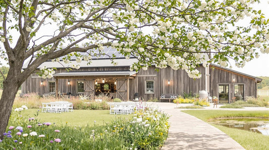 Eco-Friendly Wedding Venues: Sustainable Celebration Guide - Cheese Wedding Cake Shop